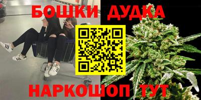 СК Обнинск